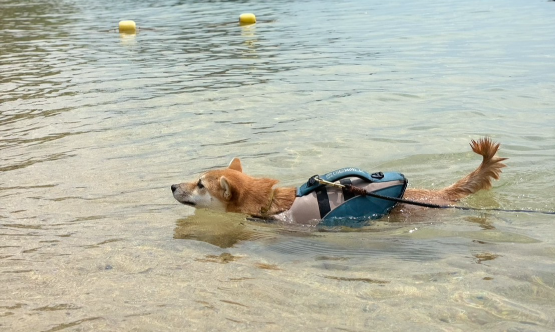 海ではしゃぎたい！！！